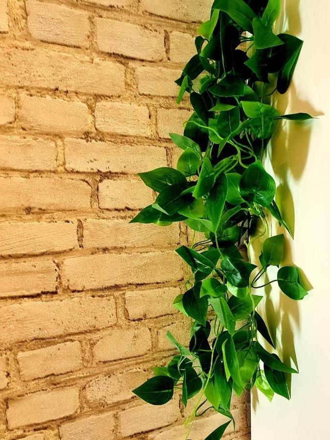 דירות Sky Level Loft סיירה נבדה מראה חיצוני תמונה
