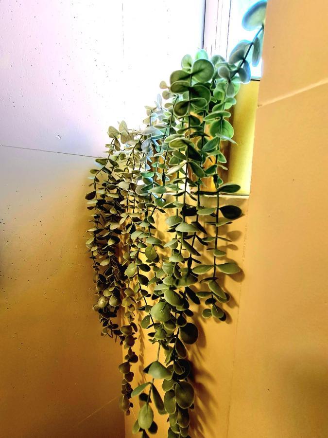 דירות Sky Level Loft סיירה נבדה מראה חיצוני תמונה